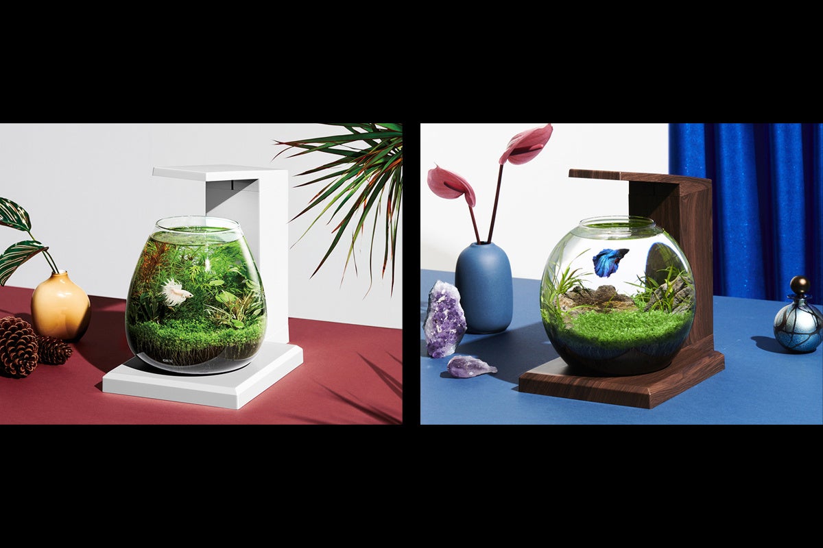 メーカー配布の2形状の写真。左が白いT-WH、右が木目調のB-Dark Woodです。生体・水草・底砂や装飾品をすべて含む販売セットを示すものではありません。