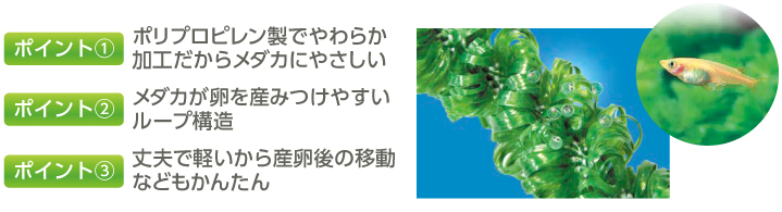 ポリプロピレンのループ構造を示す公式写真