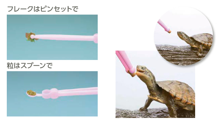 フレークと粒の使い分けを示す公式使用写真